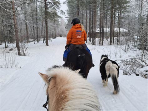 paardenrennen in finland|Paardrijden in de winter in de sneeuw in Fins Lapland, zo gaaf!.